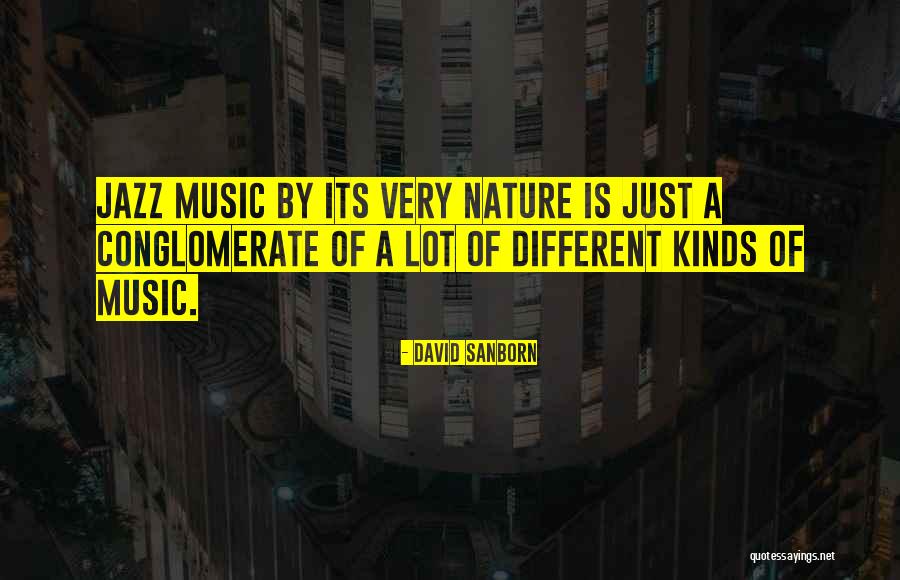 David Sanborn Quotes 1689225