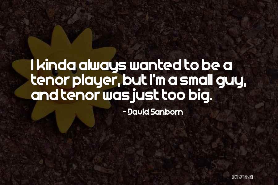 David Sanborn Quotes 1797252