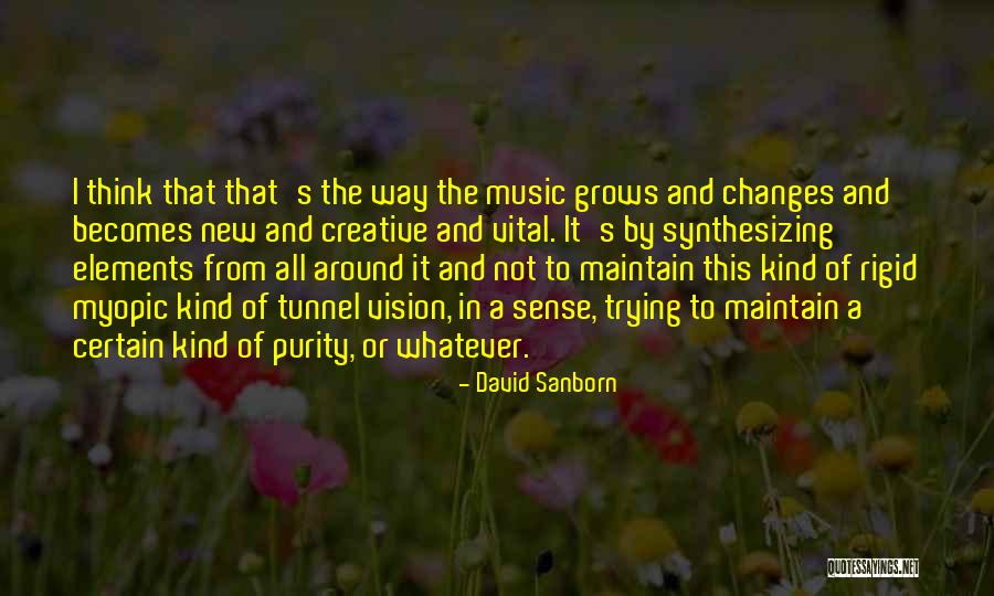 David Sanborn Quotes 2070045