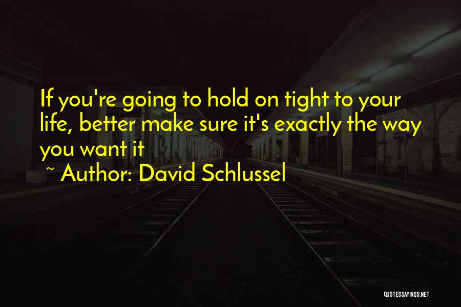 David Schlussel Quotes 622516