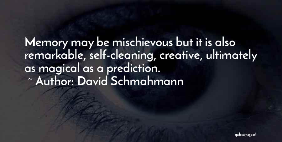 David Schmahmann Quotes 963642