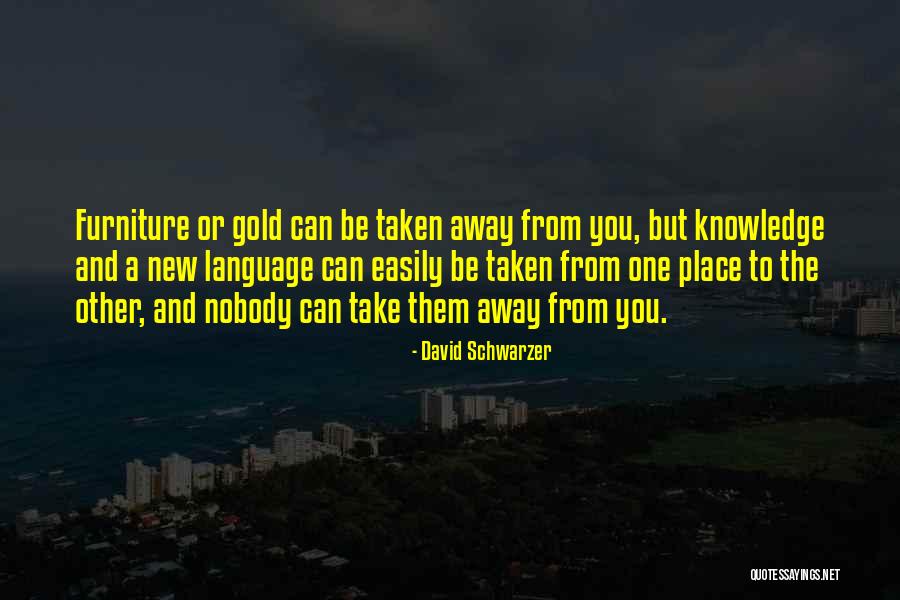 David Schwarzer Quotes 1975057