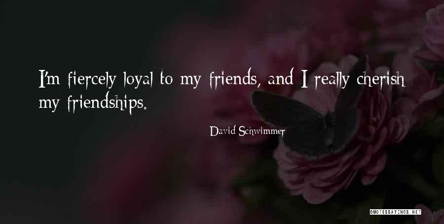 David Schwimmer Friends Quotes By David Schwimmer David Schwimmer Friends Quotes By David Schwimmer