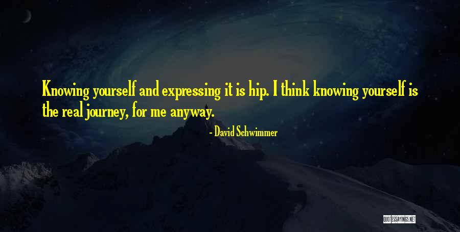 David Schwimmer Quotes 1072631