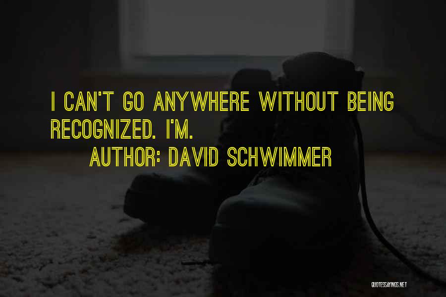 David Schwimmer Quotes 1090949