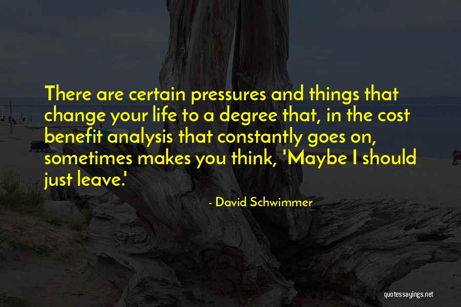 David Schwimmer Quotes 1337421