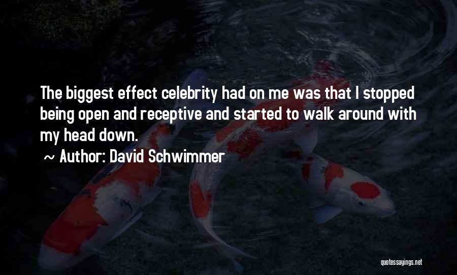 David Schwimmer Quotes 1507636