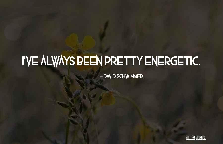 David Schwimmer Quotes 1860560