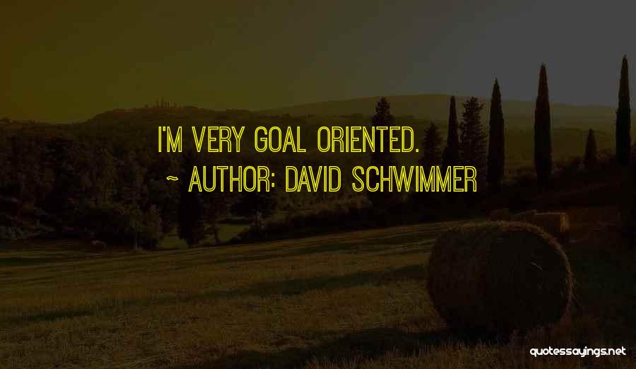 David Schwimmer Quotes 1990043