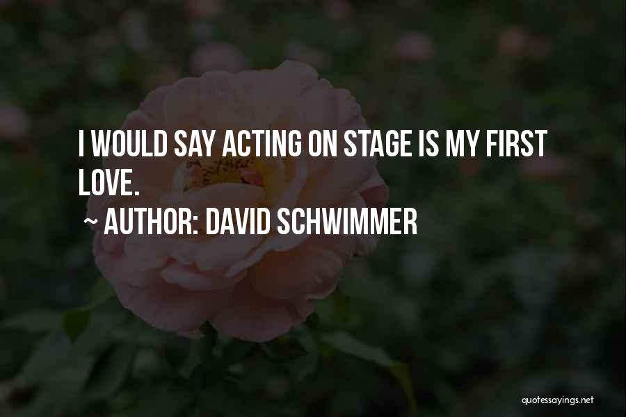 David Schwimmer Quotes 2250548