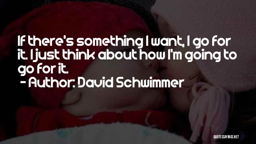 David Schwimmer Quotes 471214