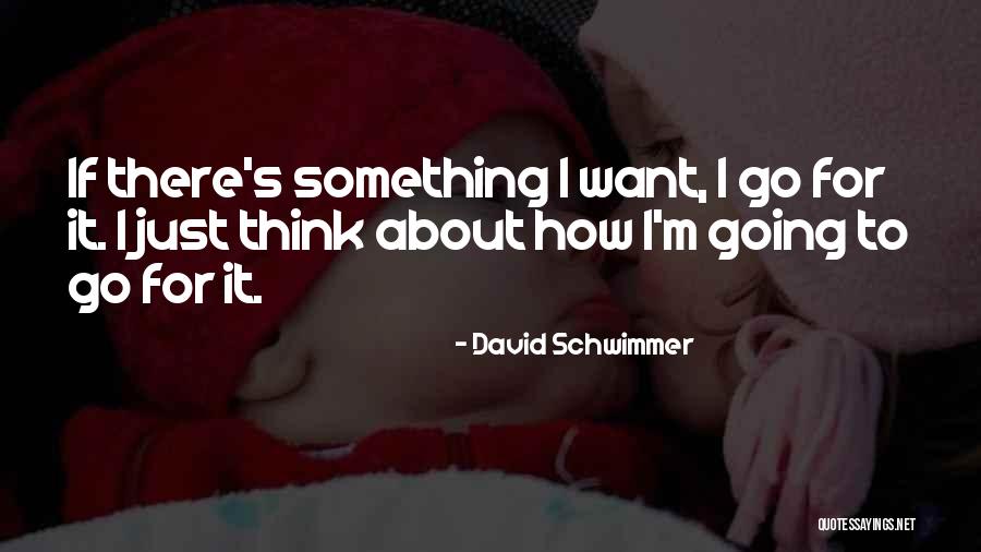 David Schwimmer Quotes 471214