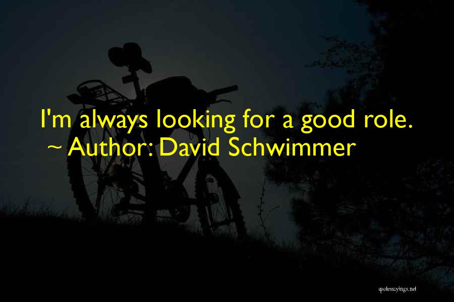 David Schwimmer Quotes 579969