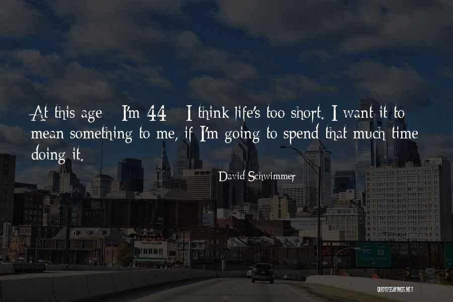 David Schwimmer Quotes 801862