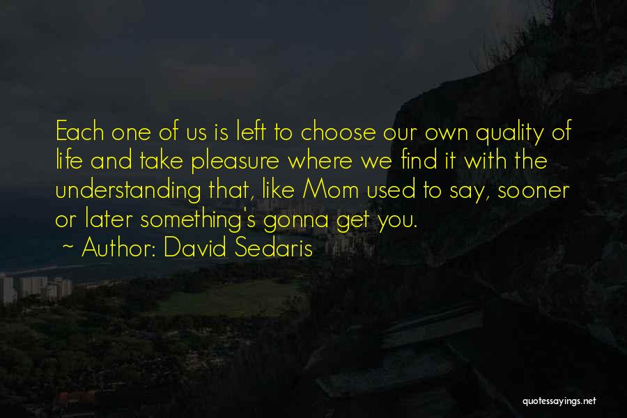 David Sedaris Quotes 1002524