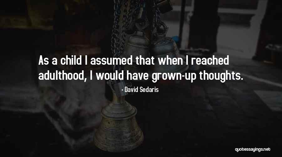 David Sedaris Quotes 1036335