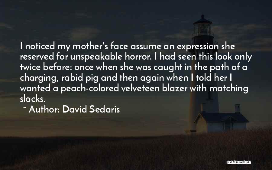 David Sedaris Quotes 1082461