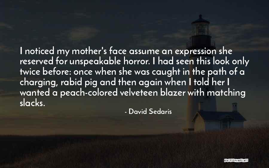 David Sedaris Quotes 1082461