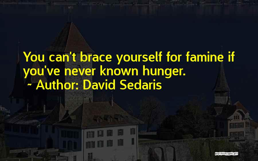 David Sedaris Quotes 1149644