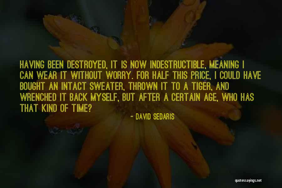 David Sedaris Quotes 1152376