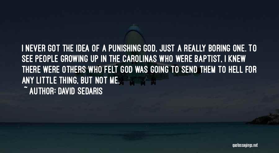 David Sedaris Quotes 1247543