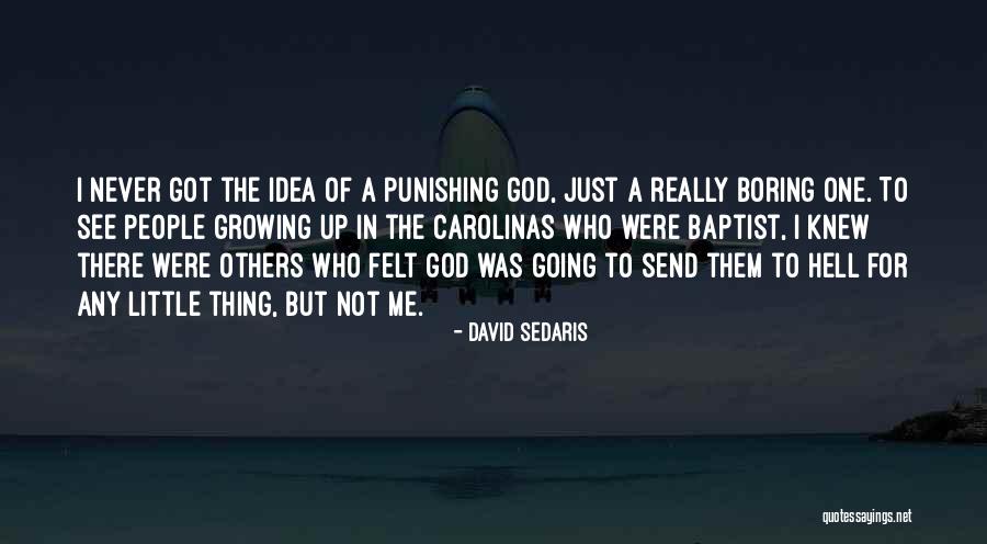 David Sedaris Quotes 1247543