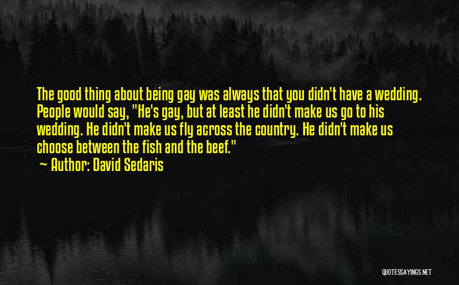David Sedaris Quotes 1263240