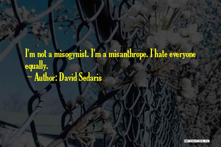 David Sedaris Quotes 1308972