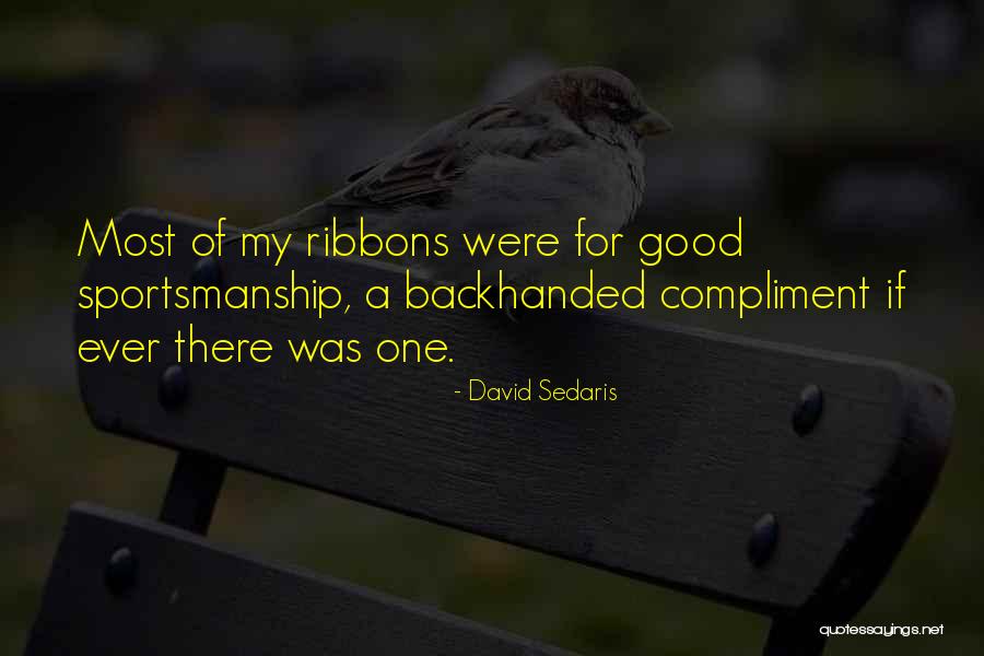 David Sedaris Quotes 1351722