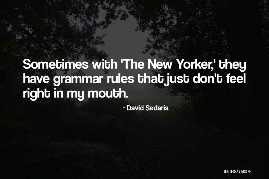 David Sedaris Quotes 1510781