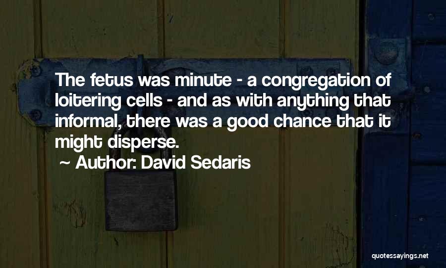David Sedaris Quotes 154735