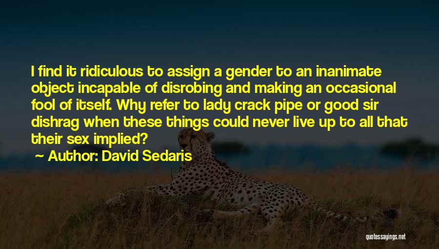 David Sedaris Quotes 1573700