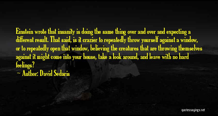 David Sedaris Quotes 1575124