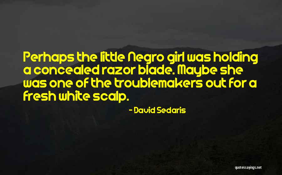 David Sedaris Quotes 1623212