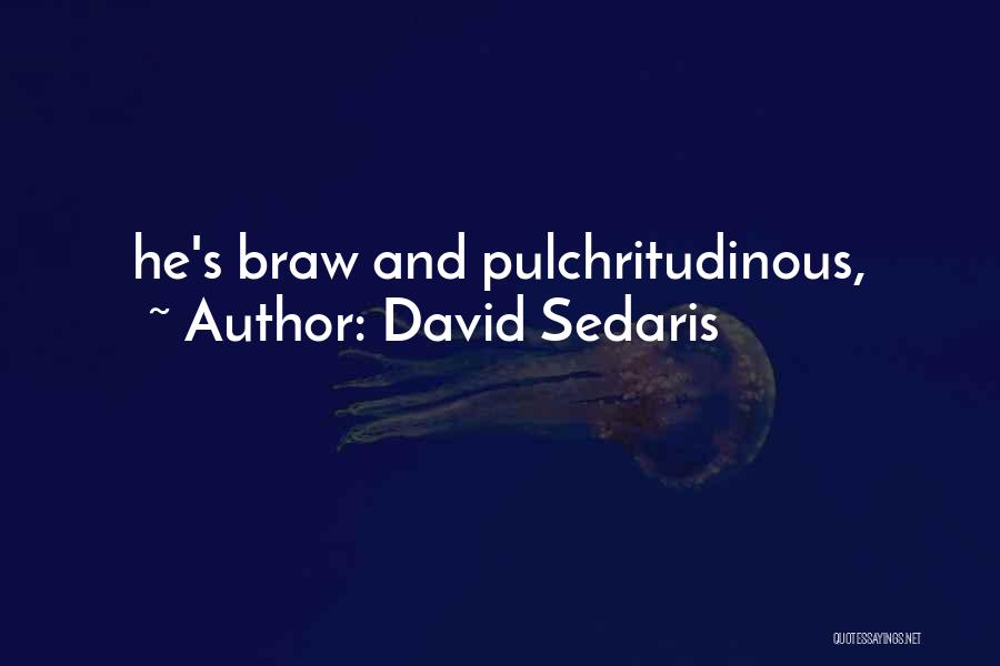 David Sedaris Quotes 1852609
