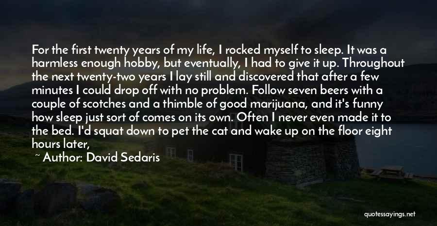 David Sedaris Quotes 187365