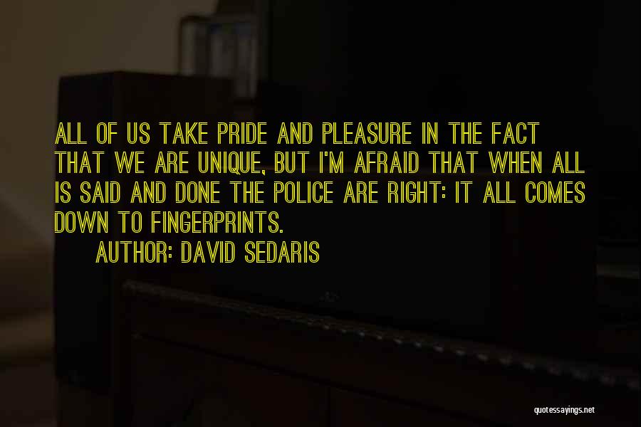 David Sedaris Quotes 1884642