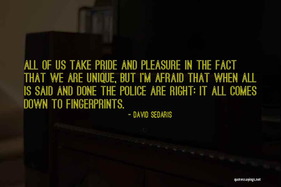 David Sedaris Quotes 1884642