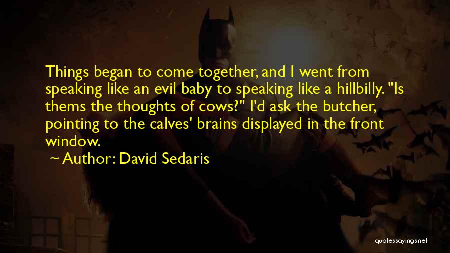 David Sedaris Quotes 1898382