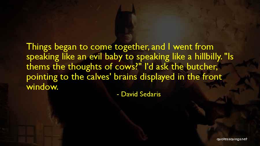 David Sedaris Quotes 1898382