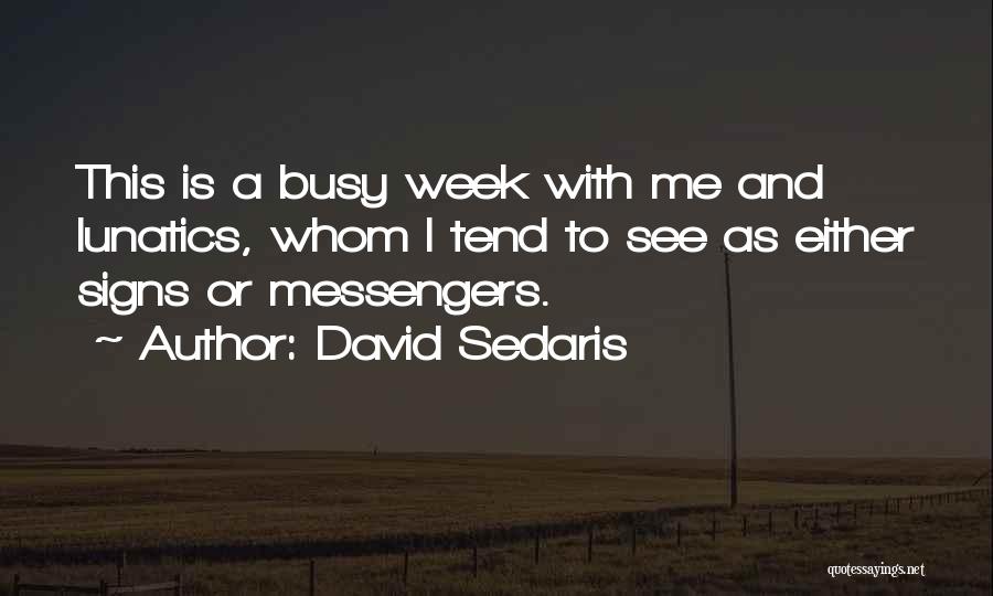 David Sedaris Quotes 1902897
