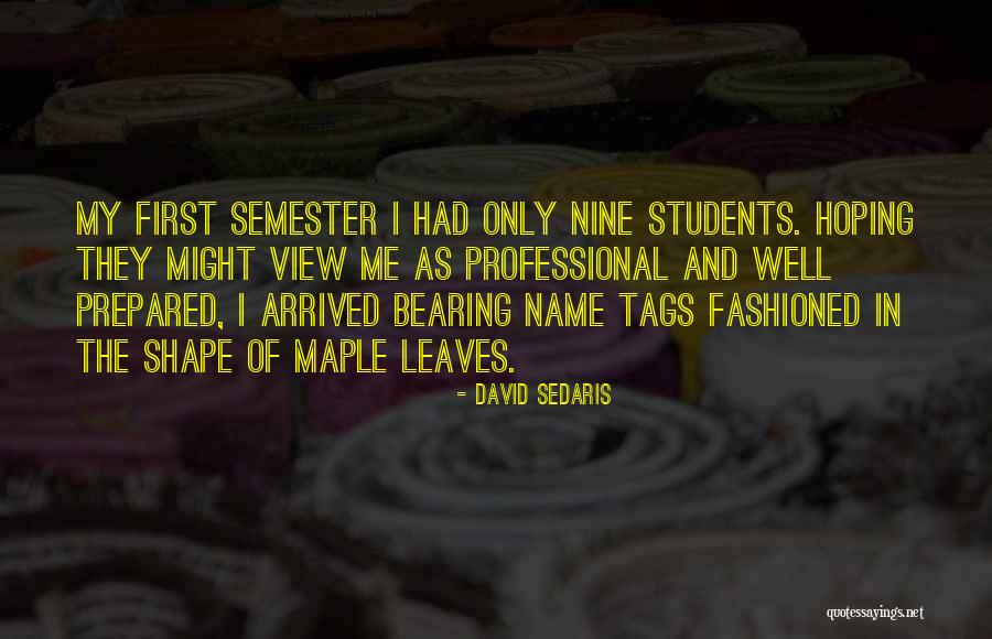 David Sedaris Quotes 1937310