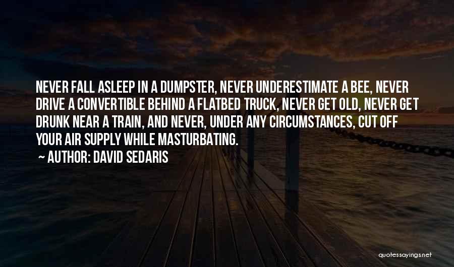 David Sedaris Quotes 2080631