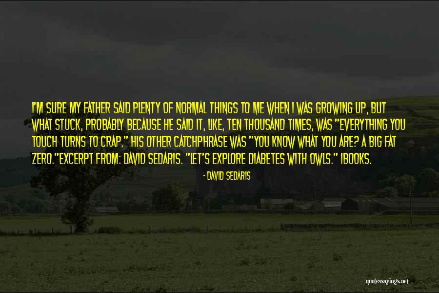 David Sedaris Quotes 2196770