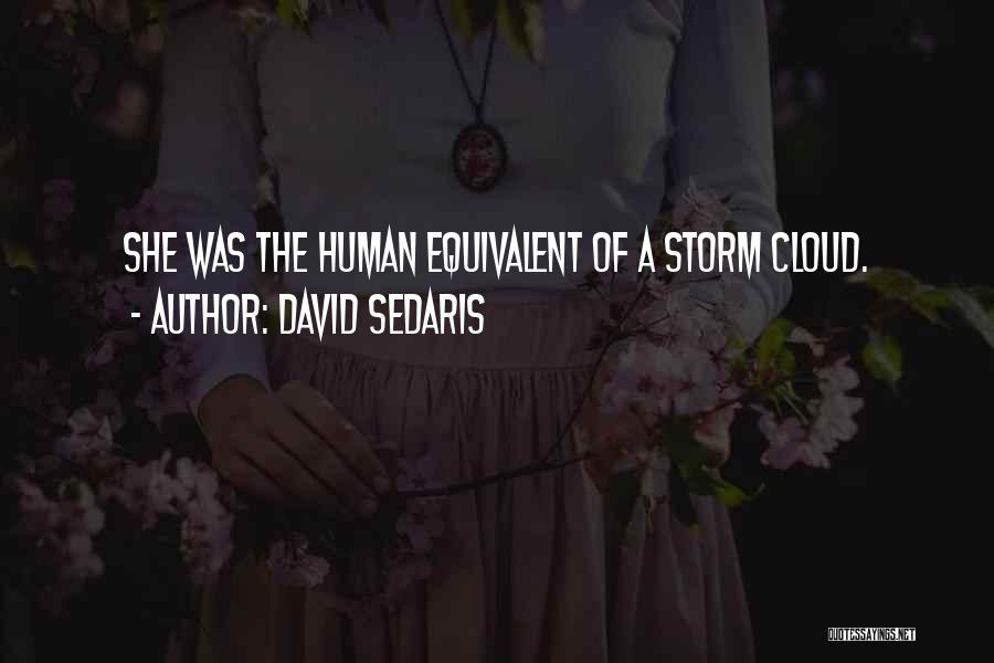 David Sedaris Quotes 2251775