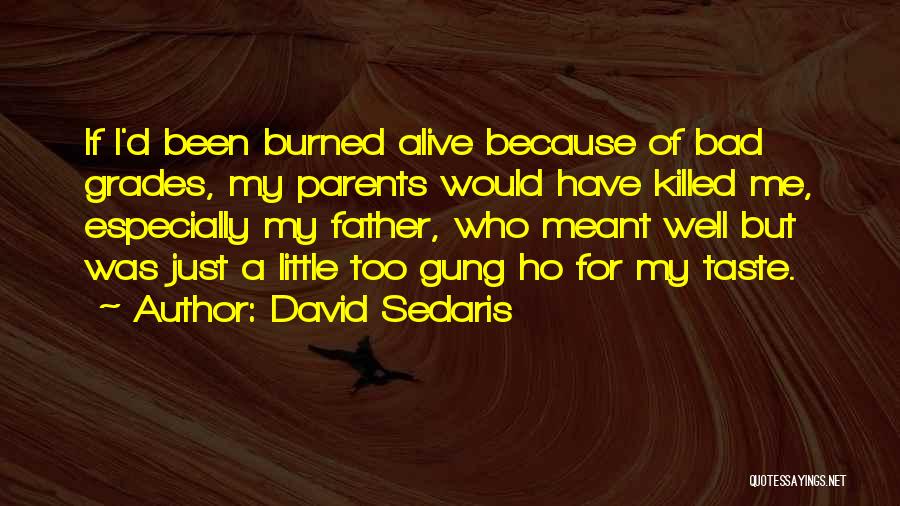 David Sedaris Quotes 363146