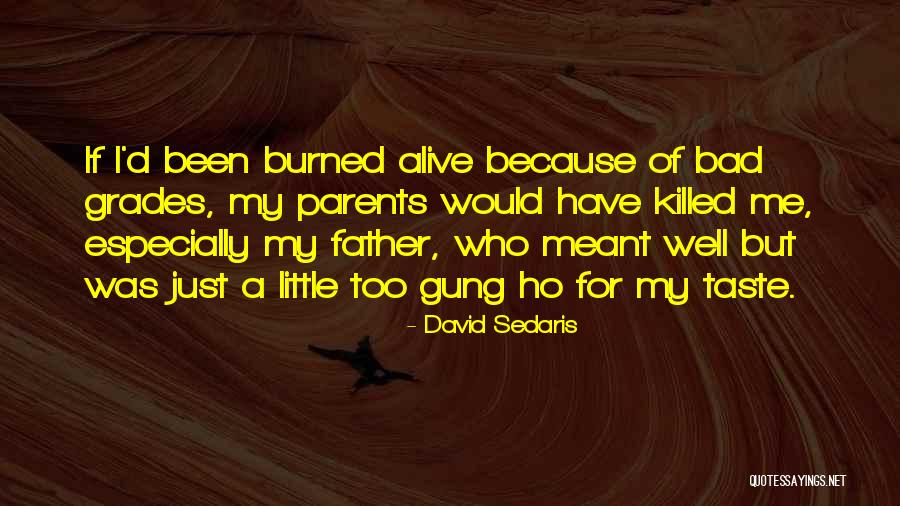 David Sedaris Quotes 363146