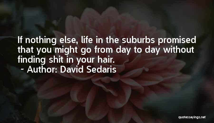 David Sedaris Quotes 426469