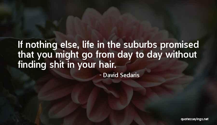 David Sedaris Quotes 426469