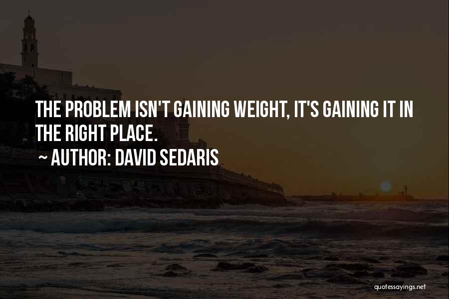 David Sedaris Quotes 432837